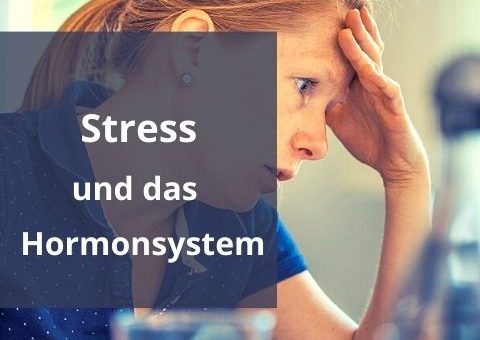 Titelbild Stress Hormonsystem